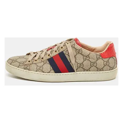 Gucci Brown GG Canvas Ace Web Sneakers Size