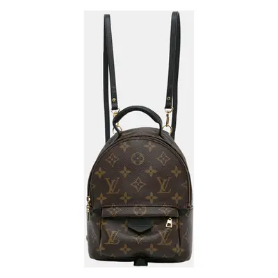 Louis Vuitton Brown Monogram Mini Palm Springs