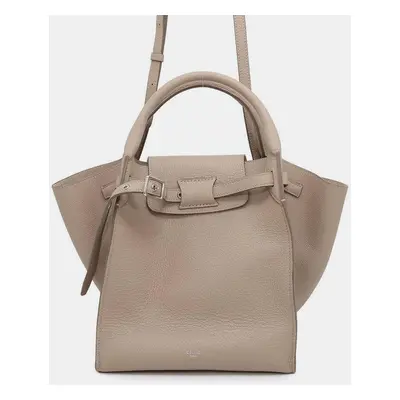 Celine Big Bag Light Taupe Calf Leather Small Size Bag