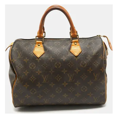 Louis Vuitton Monogram Canvas Speedy Bag