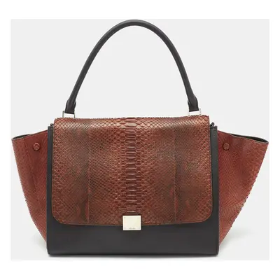 Celine Brown/Black Python and Leather Trapeze Top Handle Bag