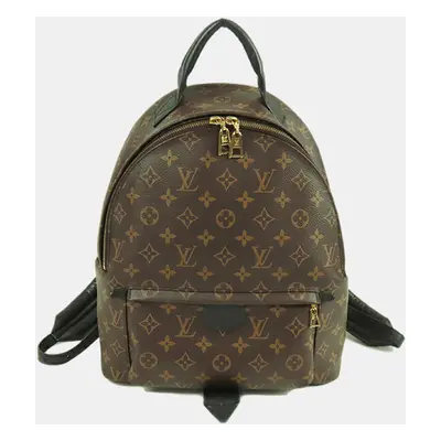 Louis Vuitton Brown Monogram Palm Springs MM Backpack