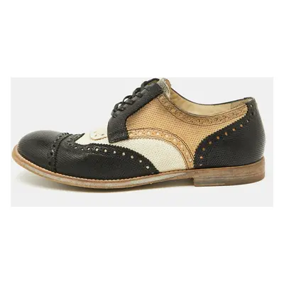 Dolce & Gabbana Multicolor Perforated Leather Lace Up Wingtip Brogue Derby Size