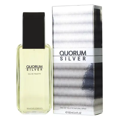 Antonio Puig - Quorum Silver 100ML Eau De Toilette Spray