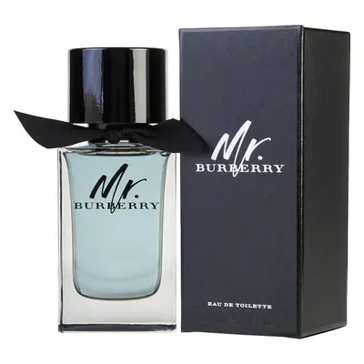 Burberry - Mr. Burberry 100ml Eau De Toilette Spray