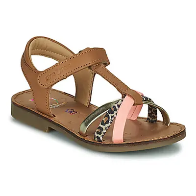 Shoo Pom HAPPY SALOME girls's Children's Sandals in Brown