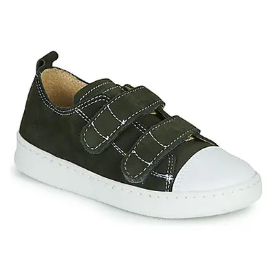 Citrouille et Compagnie NADIR boys's Children's Shoes (Trainers) in Kaki