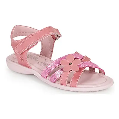 Citrouille et Compagnie HERTUNE girls's Children's Sandals in Pink