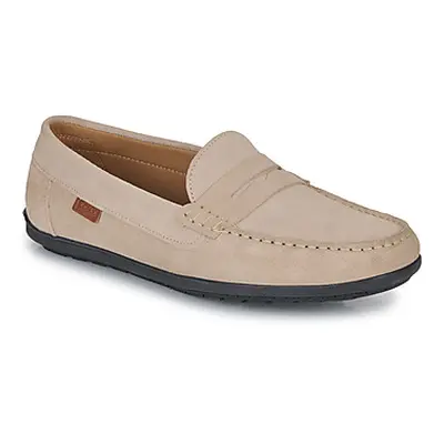 Casual Attitude VELMO men's Loafers / Casual Shoes in Beige