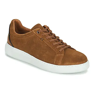 Pellet OSCAR men's Shoes (Trainers) in Brown