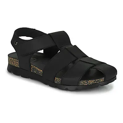 Panama Jack STANLEY C2 men's Sandals in Black