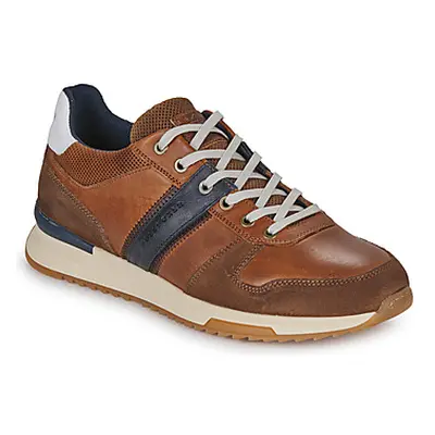 Bullboxer 989K26213FCONA men's Shoes (Trainers) in Brown