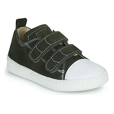 Citrouille et Compagnie NADIR boys's Children's Shoes (Trainers) in Kaki