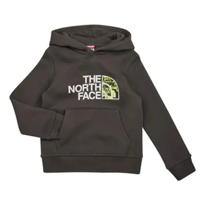 The North Face Boys Drew Peak P/O Hoodie boys's Children's sweatshirt in Grey