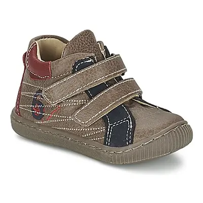 Citrouille et Compagnie THEO boys's Children's Shoes (High-top Trainers) in Brown