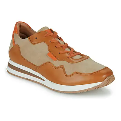 Pellet SENNA men's Shoes (Trainers) in Brown