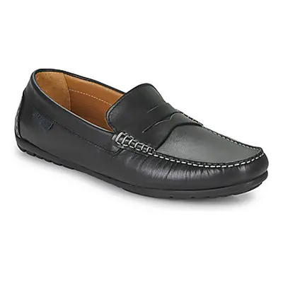 Pellet CADOR men's Loafers / Casual Shoes in Black