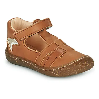 GBB LIROY boys's Children's Shoes (High-top Trainers) in Brown