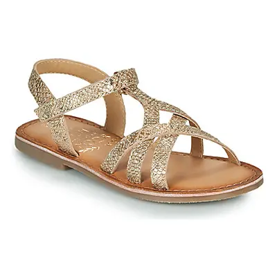 Mod'8 CANISA girls's Children's Sandals in Gold