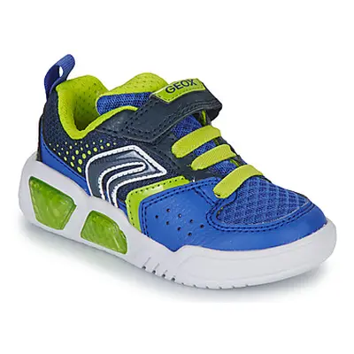 Geox J ILLUMINUS BOY boys's Children's Shoes (Trainers) in Blue