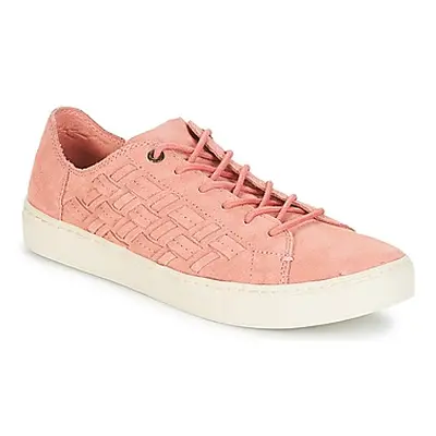 Toms LENOX women's Shoes (Trainers) in Pink