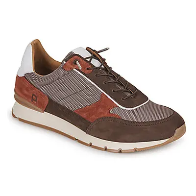 Pellet MILOU men's Shoes (Trainers) in Brown