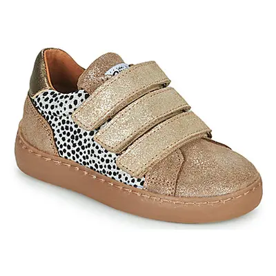 GBB LYNE boys's Children's Shoes (Trainers) in Beige