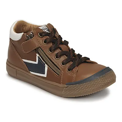 GBB DERKI boys's Children's Shoes (High-top Trainers) in Brown