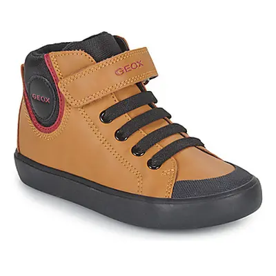 Geox J GISLI BOY F boys's Children's Shoes (High-top Trainers) in Brown