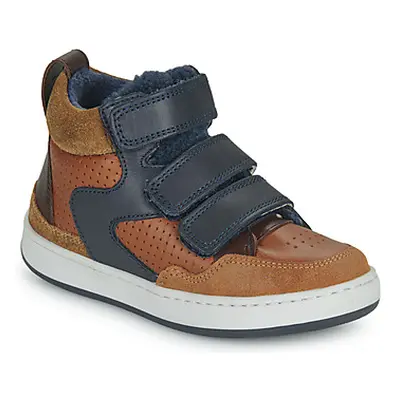 Shoo Pom TEAMS JOG SCRATCH FUR boys's Children's Shoes (High-top Trainers) in Brown