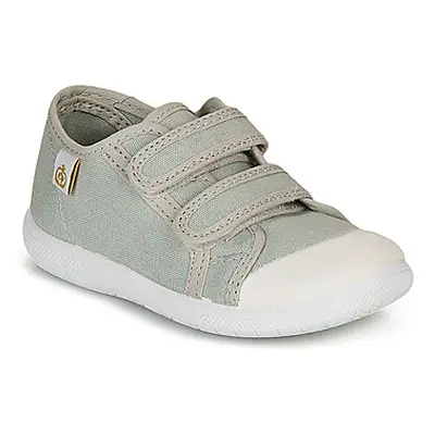 Citrouille et Compagnie GLASSIA boys's Children's Shoes (Trainers) in Grey