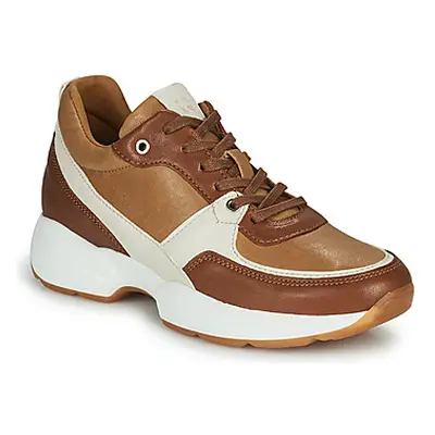 Dream in Green AGAPANTHE women's Shoes (Trainers) in Brown