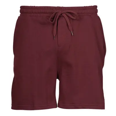 Yurban PAYTON men's Shorts in Bordeaux