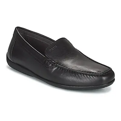 Geox U ASCANIO men's Loafers / Casual Shoes in Black