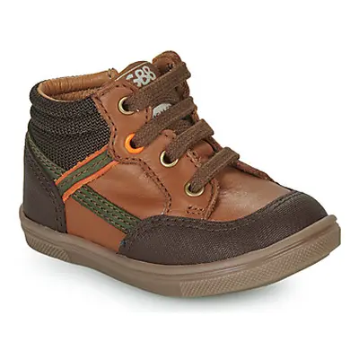 GBB GEORGUS boys's Children's Shoes (High-top Trainers) in Brown