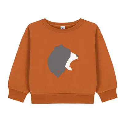 Petit Bateau CARTABLE boys's Children's sweatshirt in Brown