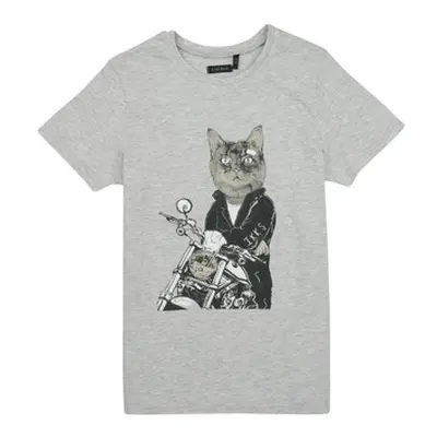 Ikks XW10413 boys's Children's T shirt in Grey