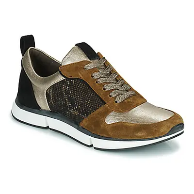 Adige VANILLE2 V3 GALAXY ONYX women's Shoes (Trainers) in Brown