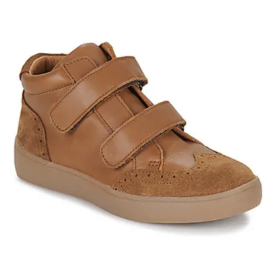 Little Mary ODYCEE boys's Children's Shoes (High-top Trainers) in Brown