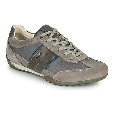 Geox U WELLS C men's Shoes (Trainers) in Grey