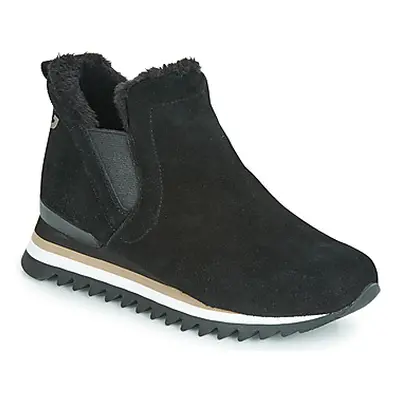 Gioseppo ECKERO women's Shoes (High-top Trainers) in Black