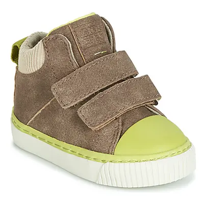 Gioseppo ERDING boys's Children's Shoes (High-top Trainers) in Brown