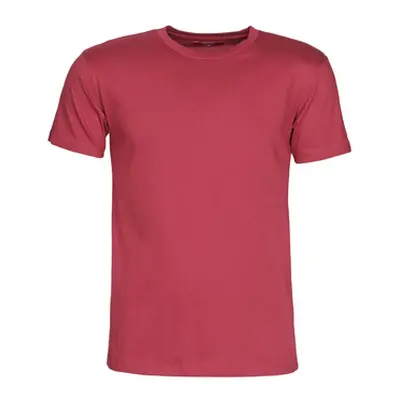 BOTD MATILDO men's T shirt in Bordeaux