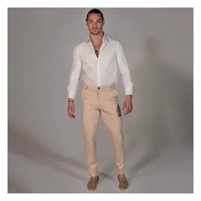 THEAD. BRIAN PANT men's Trousers in Beige