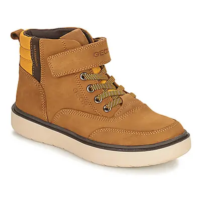 Geox RIDDOCK WPF boys's Children's Shoes (High-top Trainers) in Brown