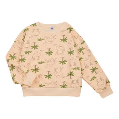 Petit Bateau FLOT boys's Children's sweatshirt in Multicolour