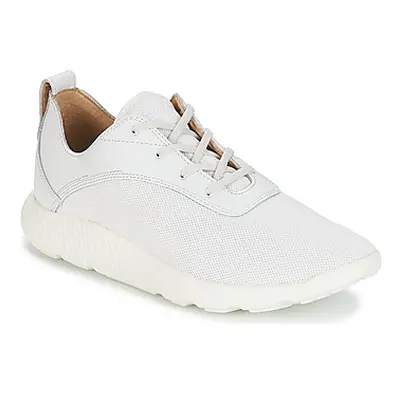 Timberland FLYROAM men's Shoes (Trainers) in White