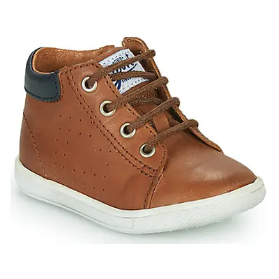 GBB FOLLIO boys's Children's Shoes (High-top Trainers) in Brown