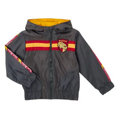 TEAM HEROES BLOUSON HARRY POTTER boys's Children's jacket in Grey