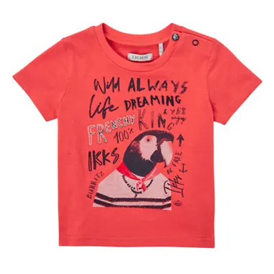 Ikks ACHARPOT boys's Children's T shirt in Orange